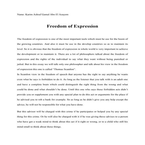 Freedom Of Expression in Egypt