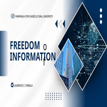 Comprehensive Overview of Freedom of Information in Government ...
