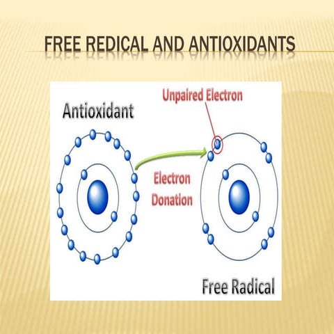 Free redical vs antioxident
