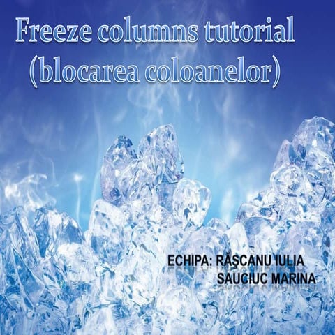 Blocarea coloanelor