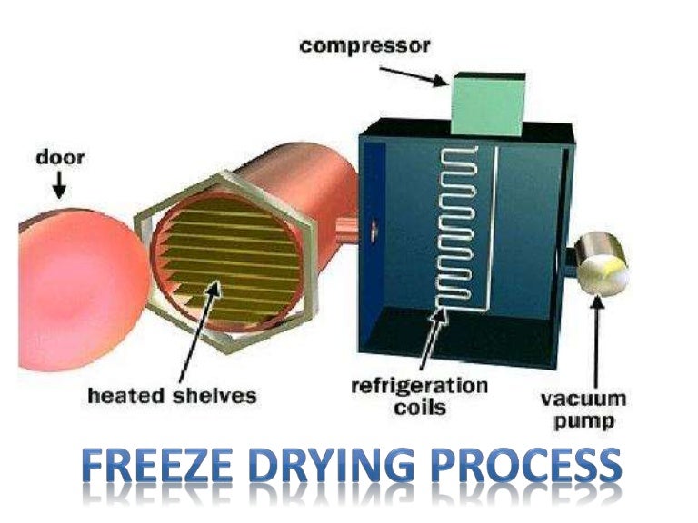 Freeze drying