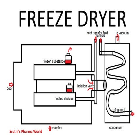 FREEZE DRYER (1).pptx