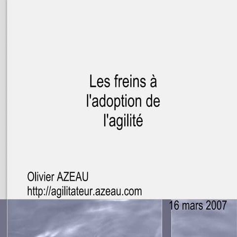 Freins à l'agilité