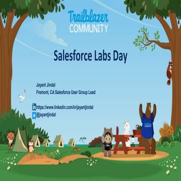 Fremont Salesforce Community Group - Salesforce Labs Day - October 2019