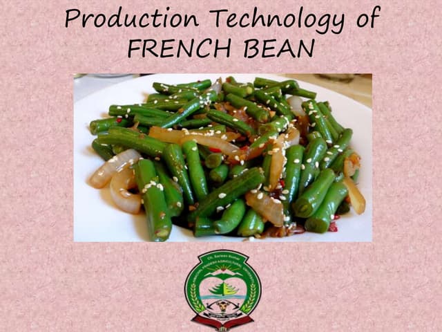 Production technology of French bean 