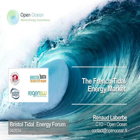 French Tidal Energy Market by Open Ocean