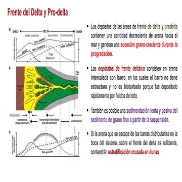 Frente del delta y pro delta | PPTX