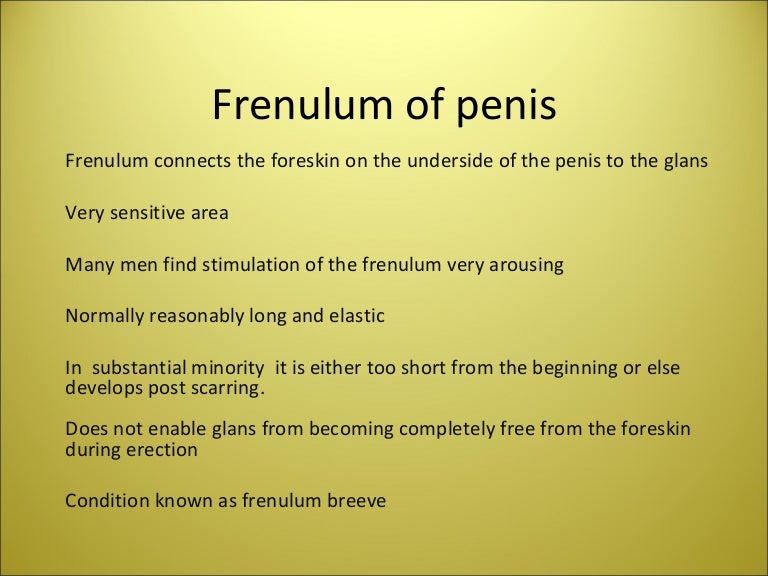 Frenulum penis