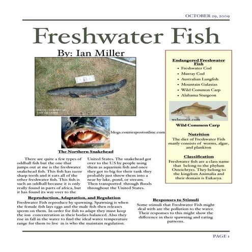 Freshwater Fish