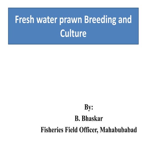 Fresh water prawn breeding and culture