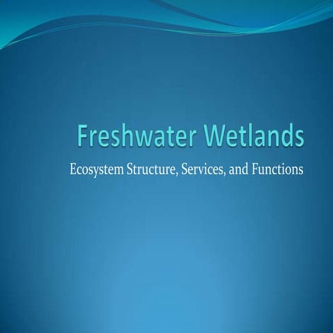 Freshwater Wetlands