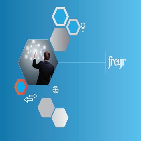 Freyr Corporate Identity Brochure | PDF