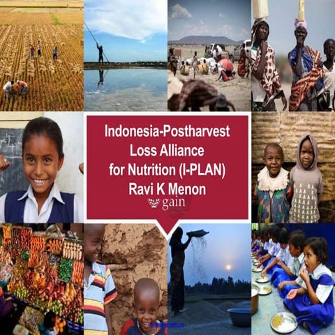 Indonesia-Postharvest Loss Alliance for Nutrition (I-PLAN) | PPTX