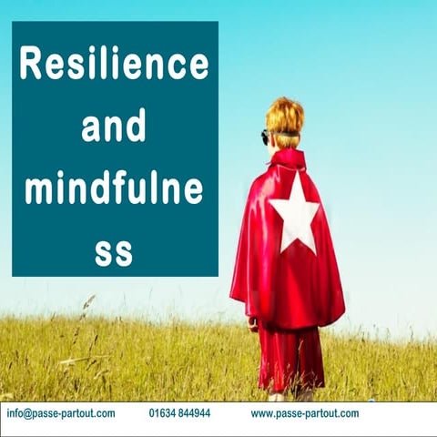 PPMA Annual Seminar 2017 - Resilience and Mindfulness