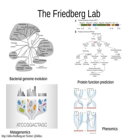 Friedberg lab-overview-grad-students
