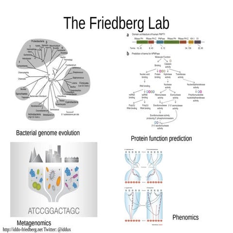 Friedberg lab-overview-grad-students-2019-nr