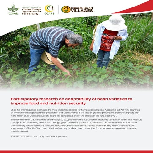 Participatory research on adaptability of bean varieties to improve food and ...