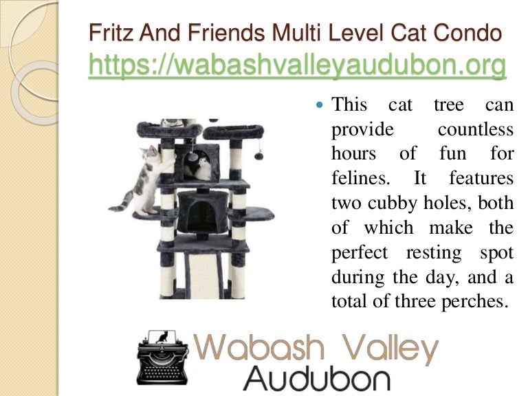 fritz and friends cat condo