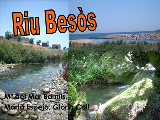 El riu besòs | PPT