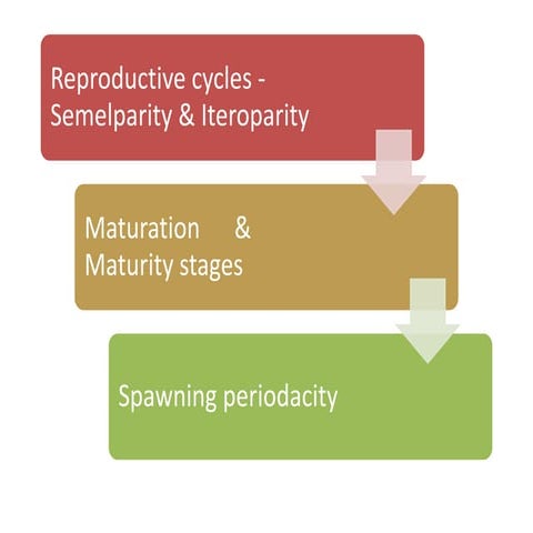Reproductive cycles -            Semelparity & Iteroparity Maturation      &              Maturity stages Spawning periodacity