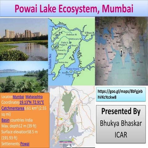Frm powai lake ecosystem b