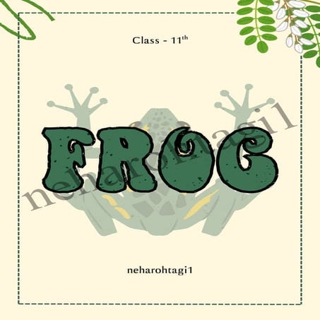 Frog Class 11th NCERT CBSE NEET biology notes