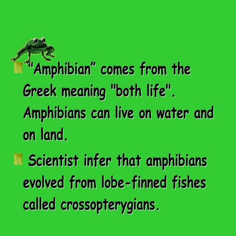 Frog Anatomy and morphology