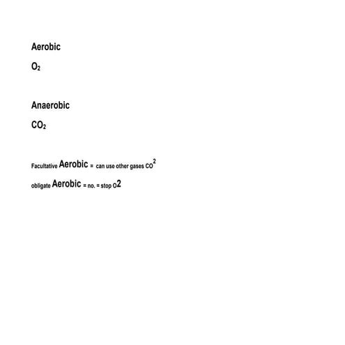 Frog Anatomy and Dissection.docx