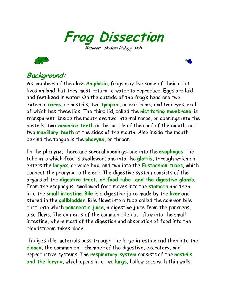 Frog in the well essay image