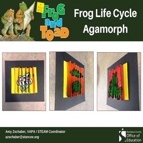 Frog and toad agamorph ppt | PPT