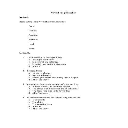 Frog Dissection Worksheet | DOC