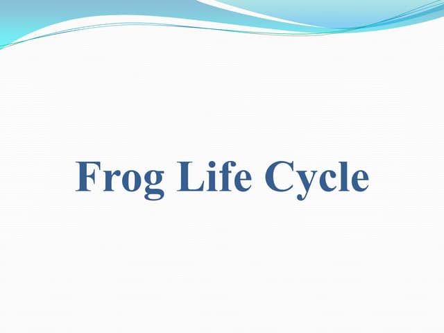Frog life cycle