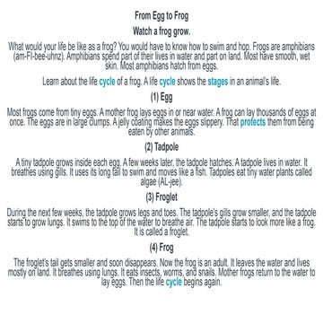 The Life cycle of frog | PPT