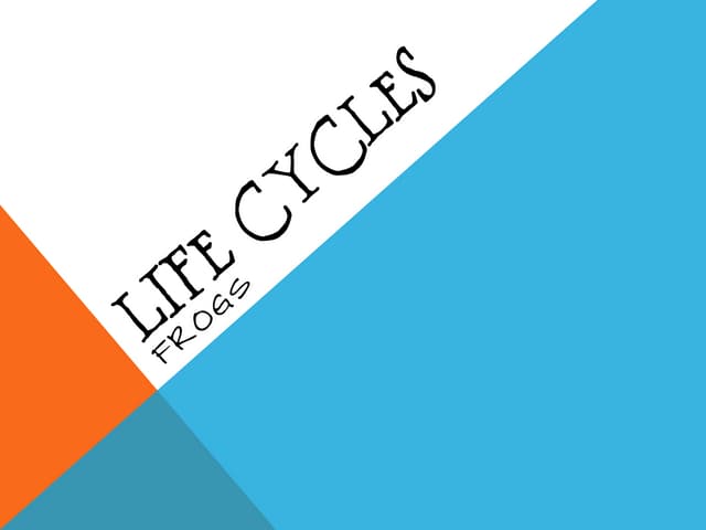 Frog life cycle power point