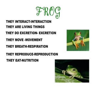 Frogppt