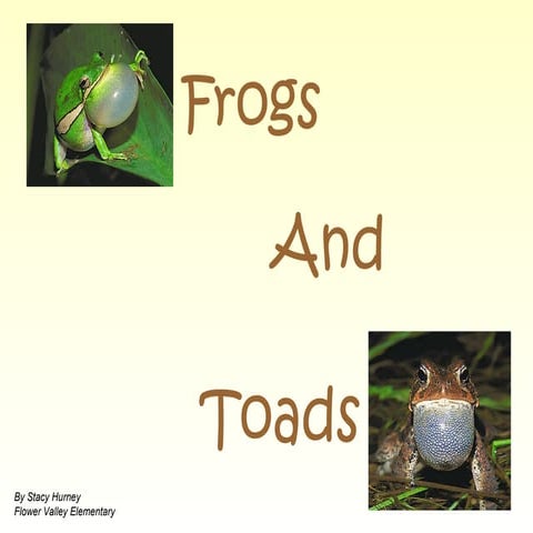 Frogs and toads