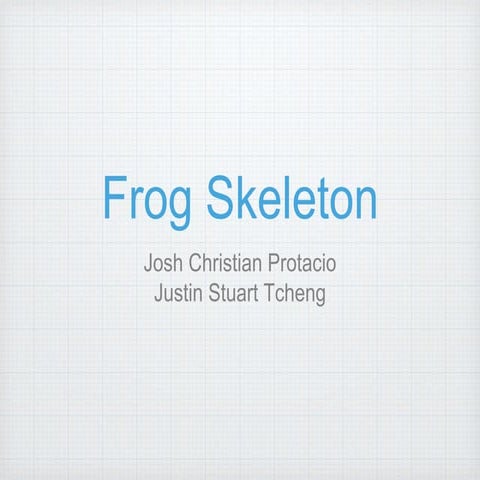 Frog Skeleton