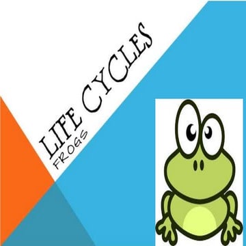 Frogs life cycle