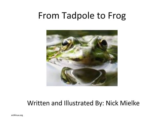 From Tadpole To Frog