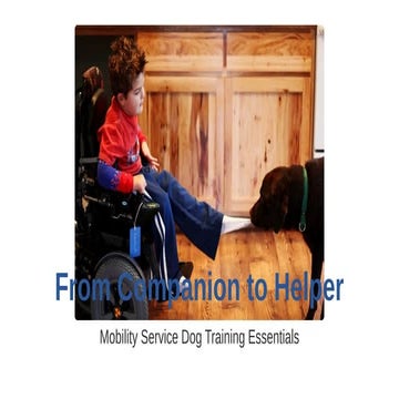 From Companion to Helper Mobility Service Dog Training Essentials. | PDF