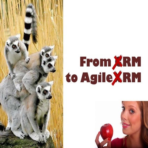 From CRM to AgileXRM