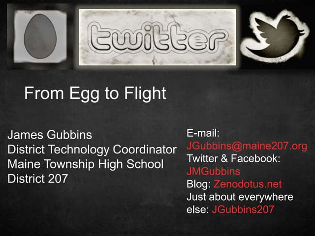 From Egg to Flight