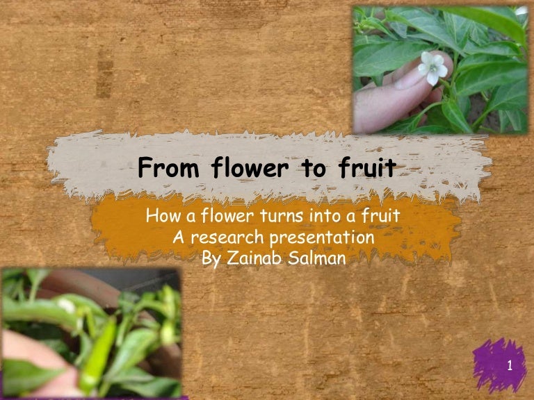 From flower to fruit