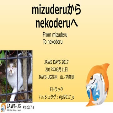 mizuderuからnekoderuへ