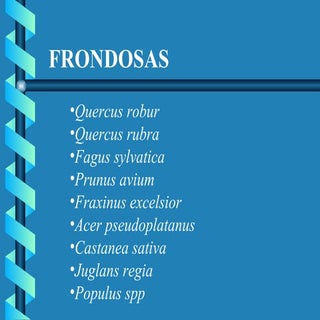 Frondosas