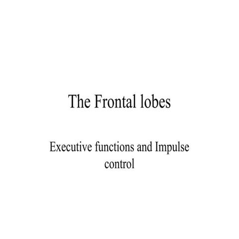 frontalfor256.ppt.......................