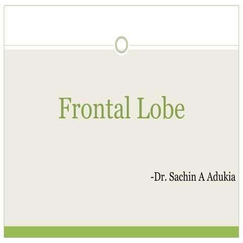 Frontal lobe