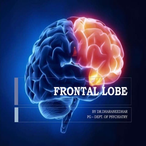 Frontal lobe & psychiatry
