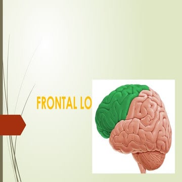 frontal lobe.pptxrrrrrrrrrrrrrrrrrrrrrrr