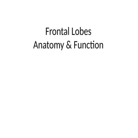 frontal lobe for Neurosurgeons anatomy and physiology